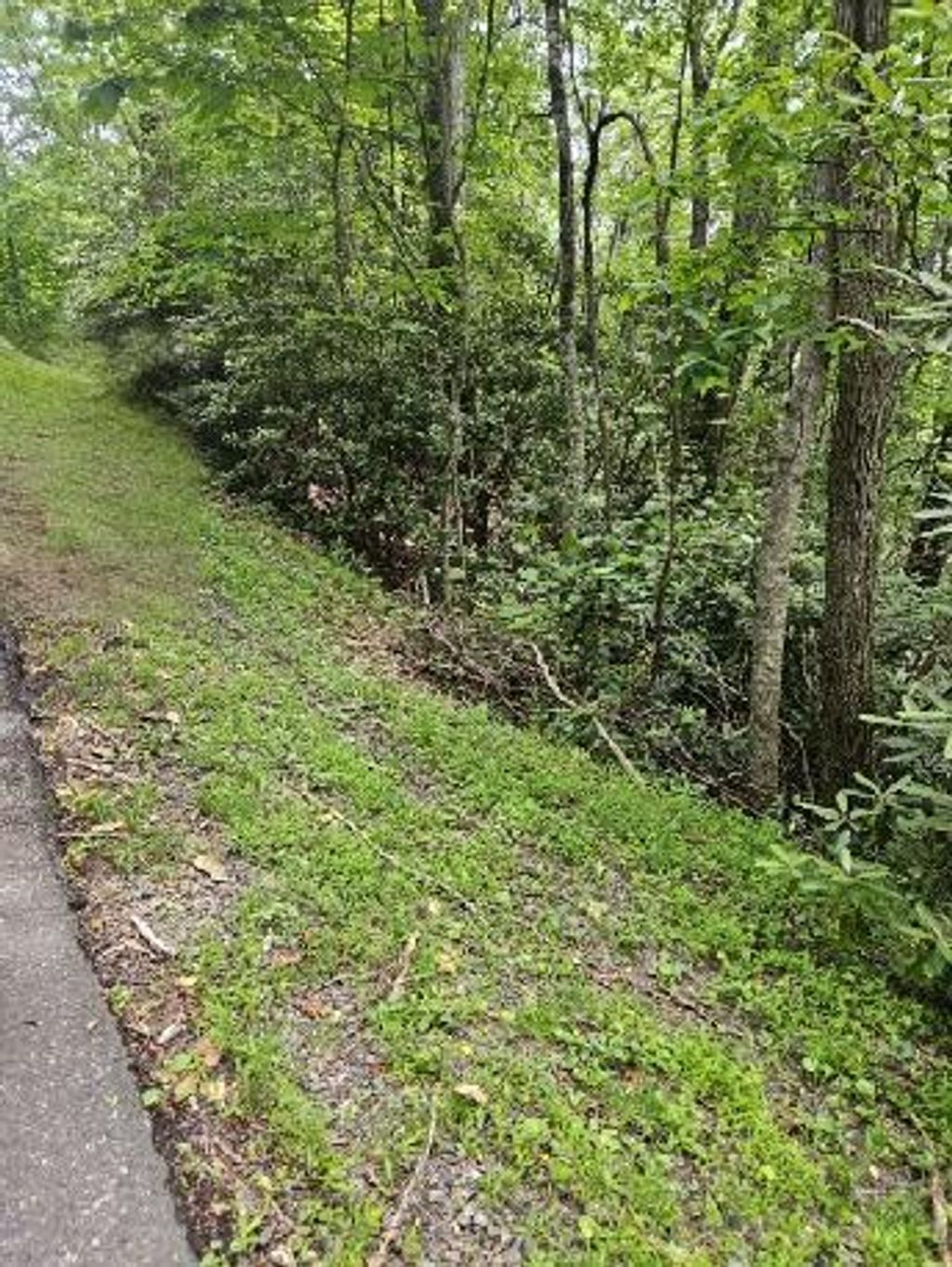 Photo of 24 Otter Creek Trail #E24, Fancy Gap, VA 24328 (MLS # 100566)