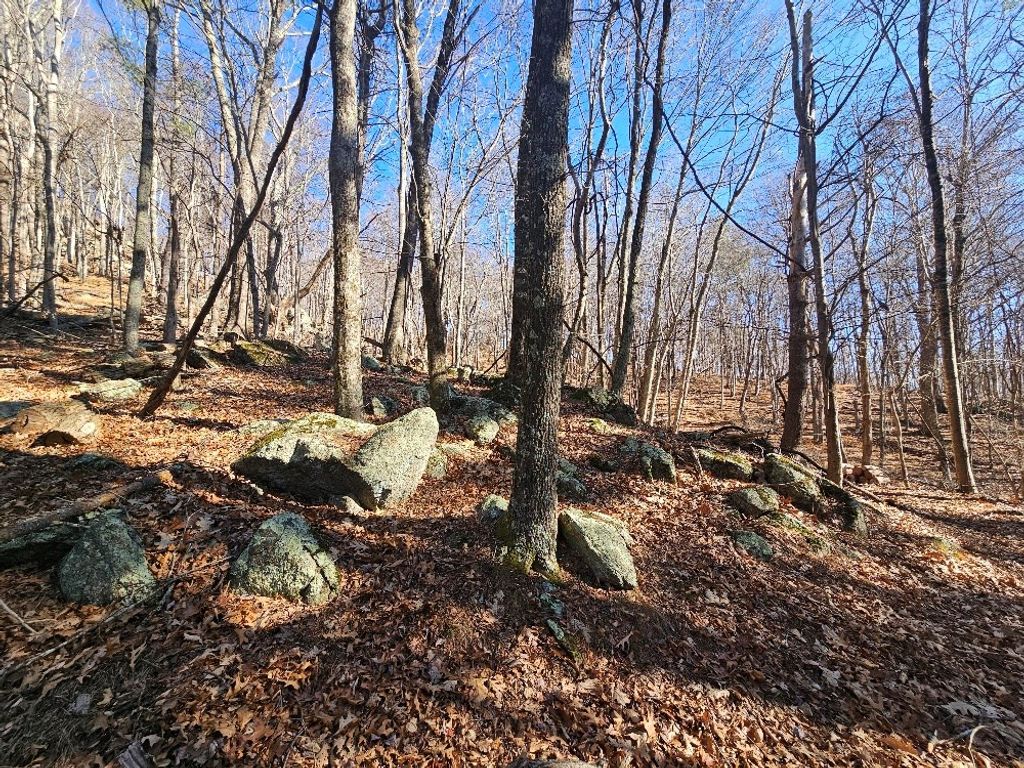 Photo of 6 Fannies Ln #6, Fries, VA 24330 (MLS # 104288)