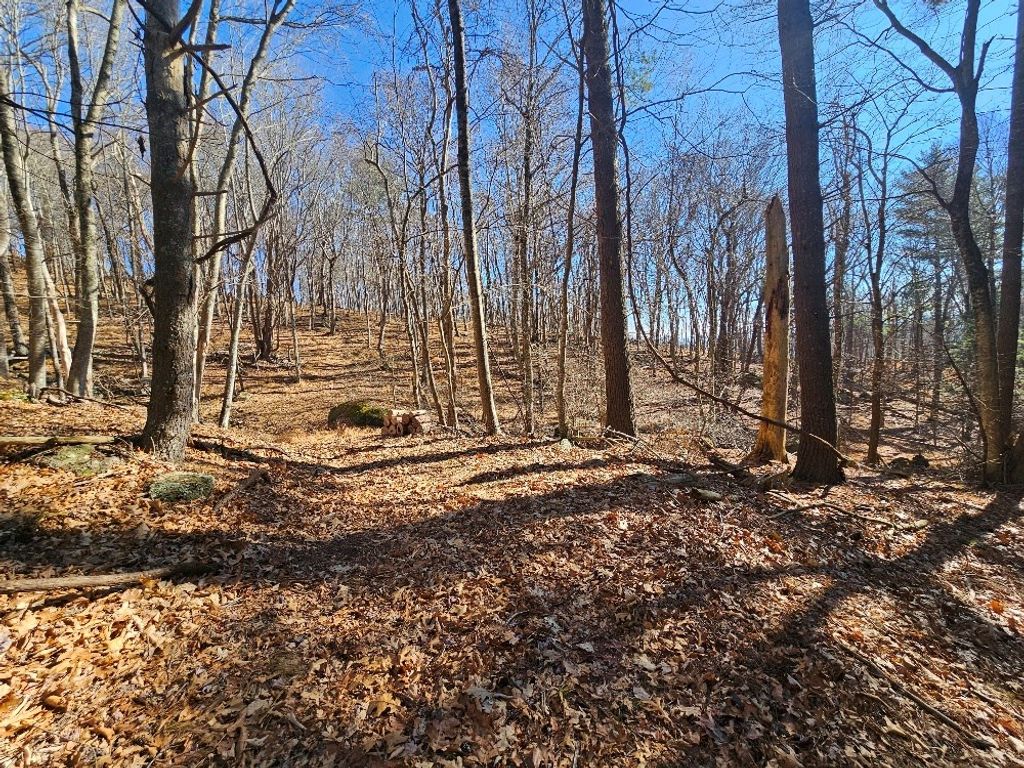 Photo of 6 Fannies Ln #6, Fries, VA 24330 (MLS # 104288)