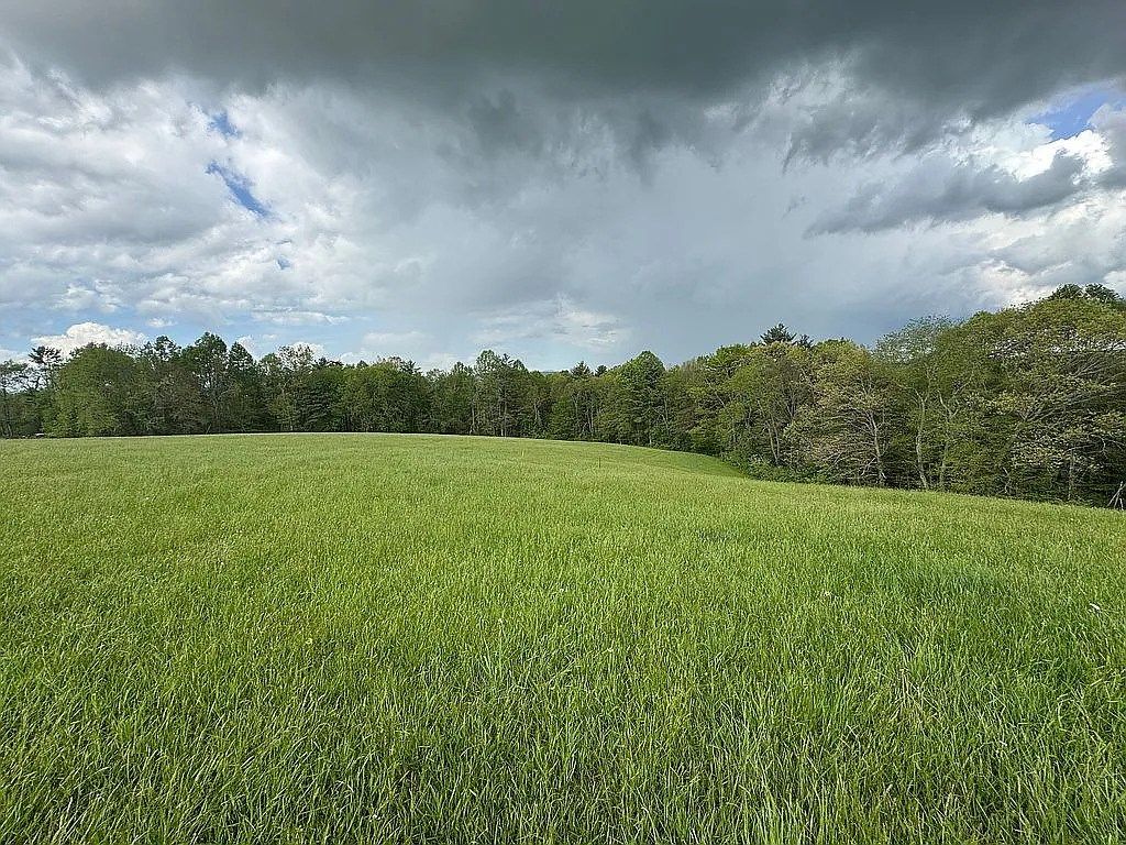 Photo of 927 Kinzer Rd #31F, Hillsville, VA 24343 (MLS # 104714)