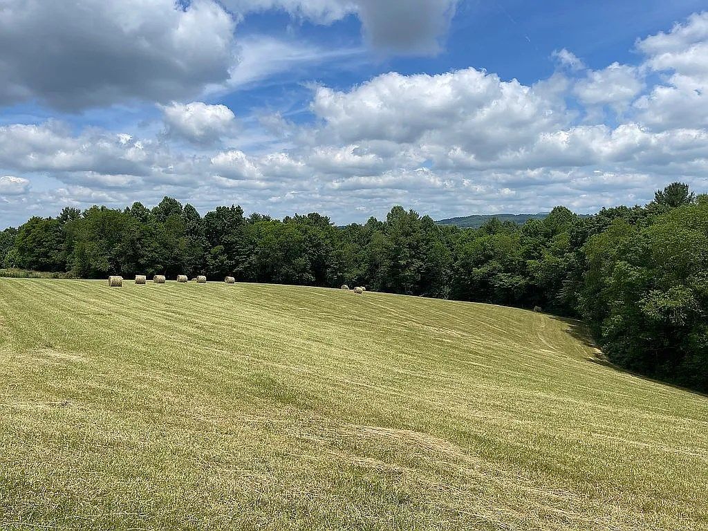 Photo of 927 Kinzer Rd #31F, Hillsville, VA 24343 (MLS # 104714)