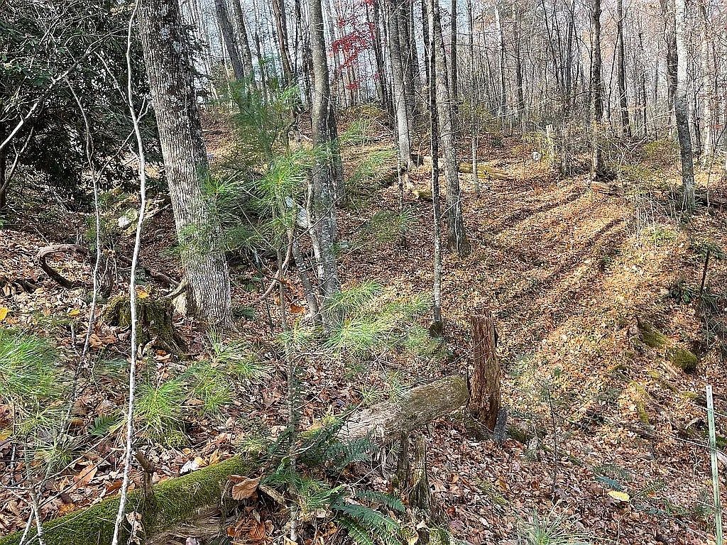 Photo of 927 Kinzer Rd #31F, Hillsville, VA 24343 (MLS # 104714)