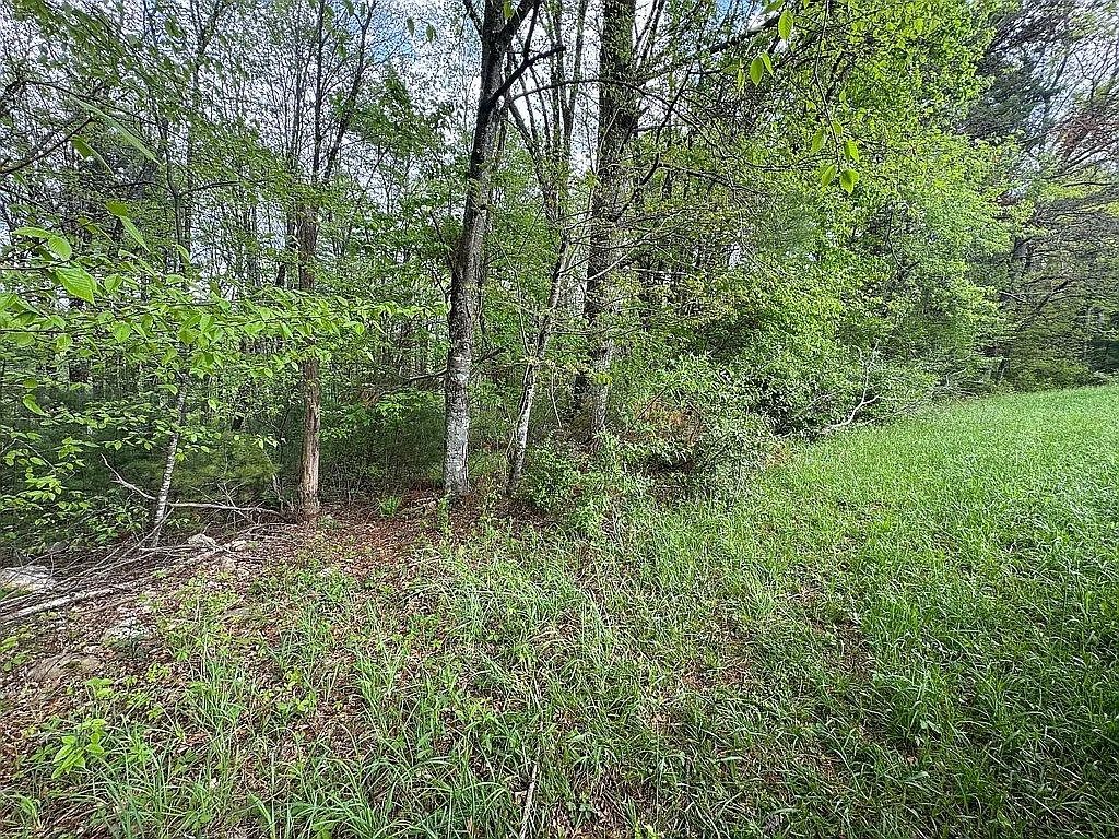 Photo of 927 Kinzer Rd #31F, Hillsville, VA 24343 (MLS # 104714)
