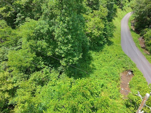 Photo of TBD Heralds Valley Road #/, Castlewood, VA 24224 (MLS # 110711)