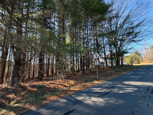 4306 KENO RD, LAUREL FORK, VA 24352 - Image 22bd4da04fec3e0e9f4125f2f5cec103/3844609175