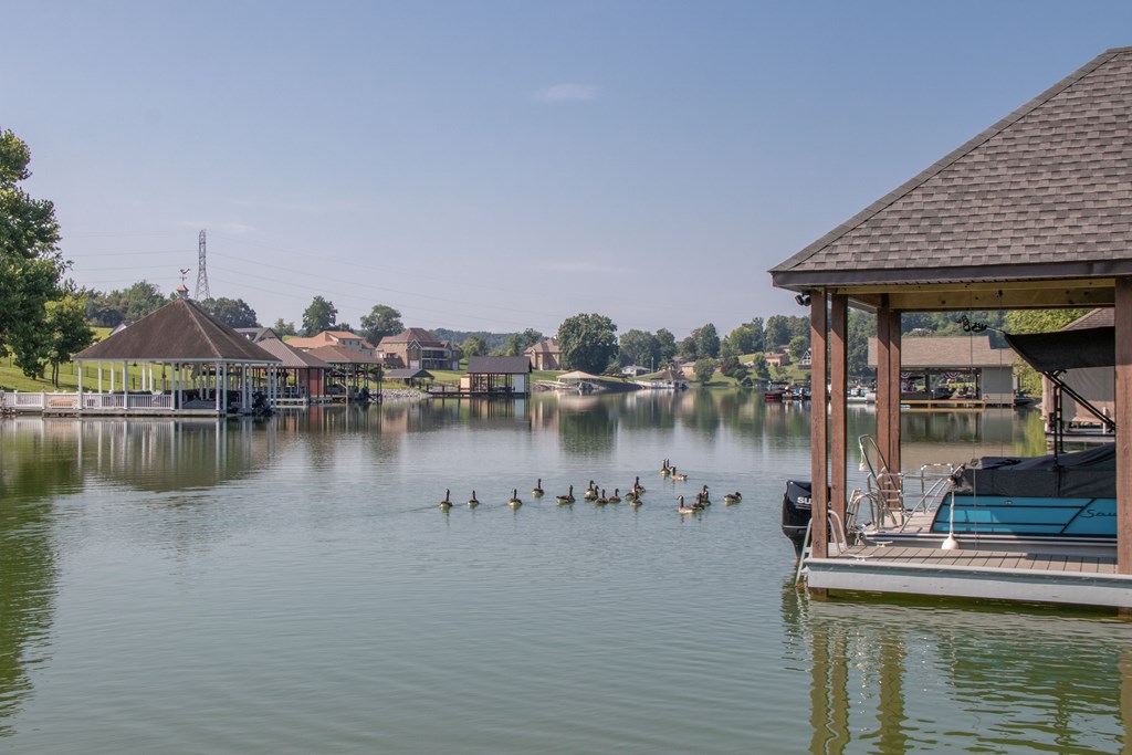 Blountville, Tennessee 37617, United States, ,Land,Active,168853