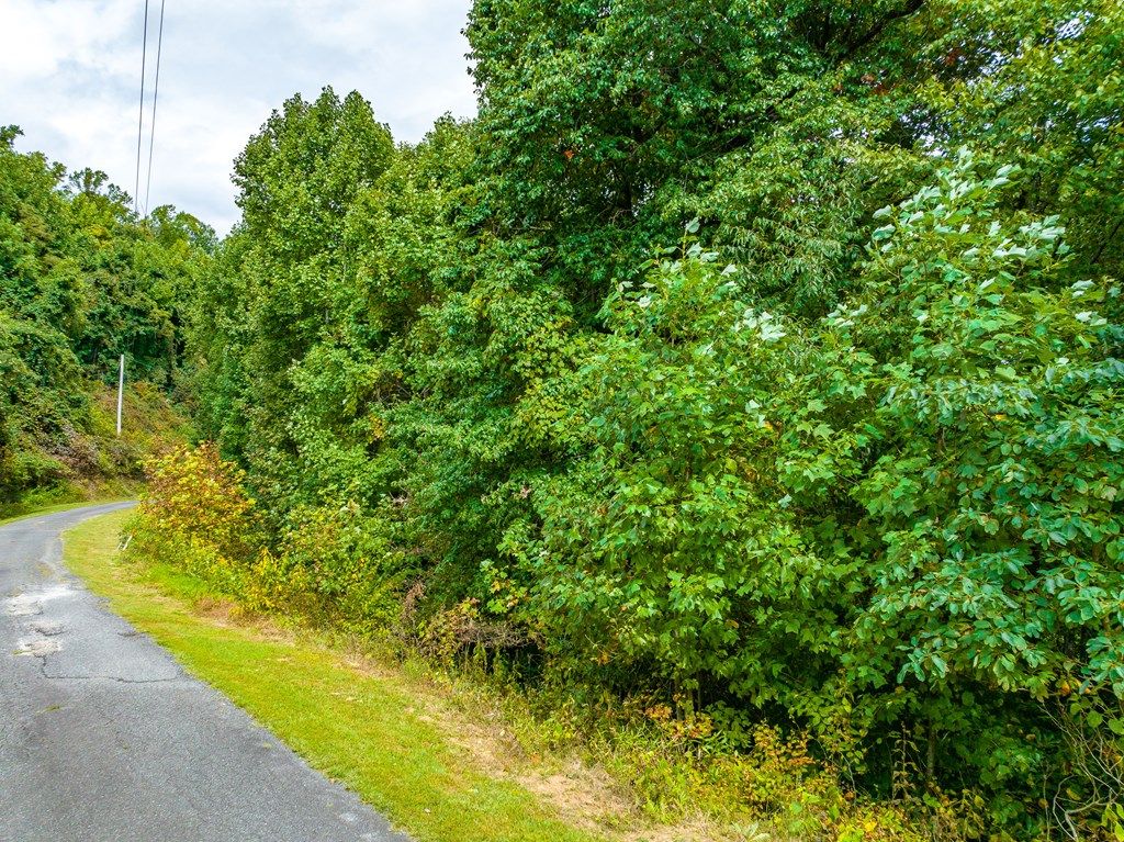 Photo of 261210 Covered Bridge Trl #261, Fancy Gap, VA 24328 (MLS # 110138)