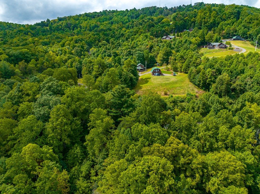 Photo of 261210 Covered Bridge Trl #261, Fancy Gap, VA 24328 (MLS # 110138)