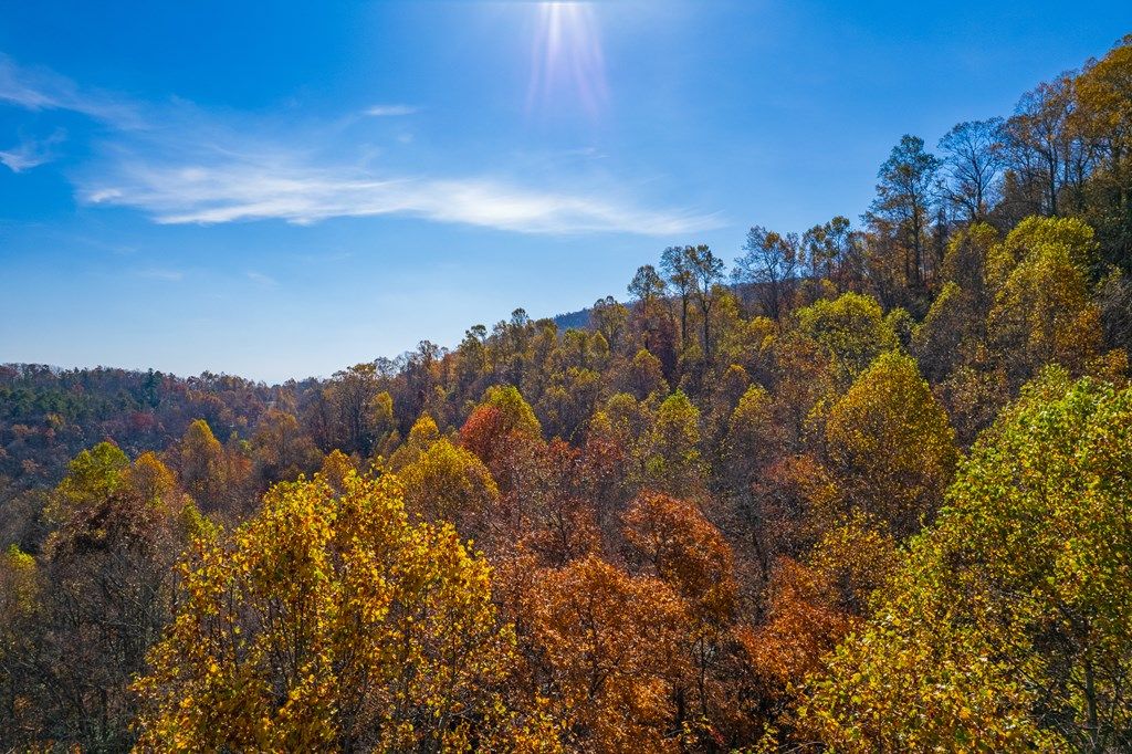 Photo of 219 Little Fawn Trail, Fancy Gap, VA 24328 (MLS # 103613)