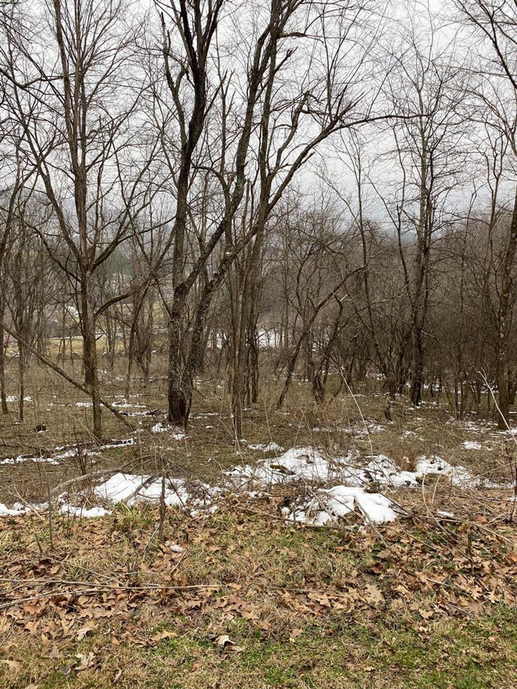 Photo of TBD Ridgecrest Drive #14, North Tazewell, VA 24630 (MLS # 105912)