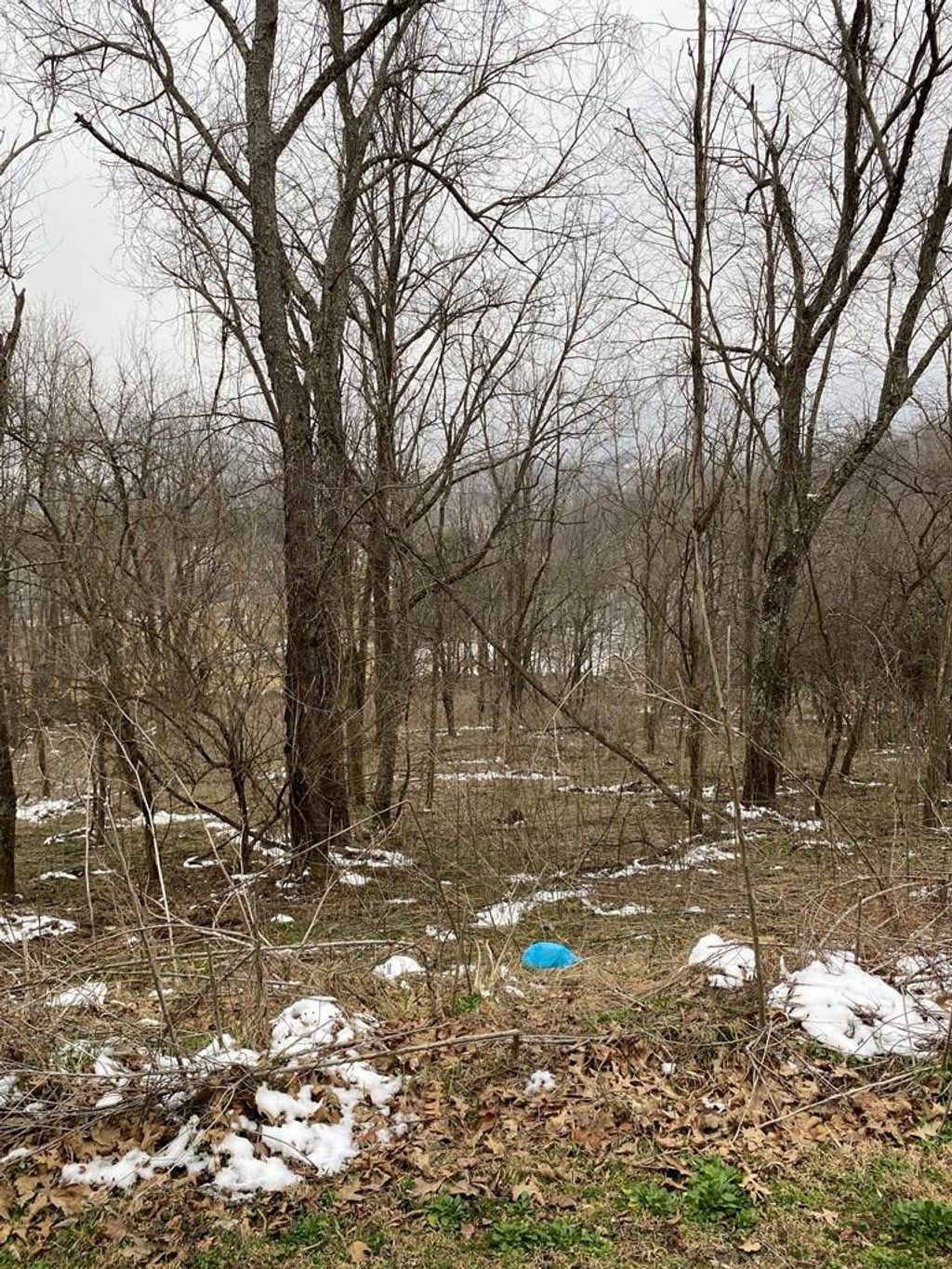 Photo of TBD Ridgecrest Drive #14, North Tazewell, VA 24630 (MLS # 105912)