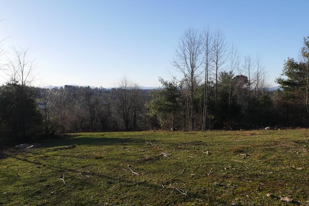 Photo of TBD Trapper Drive #1, Woodlawn, VA 24381 (MLS # 104236)