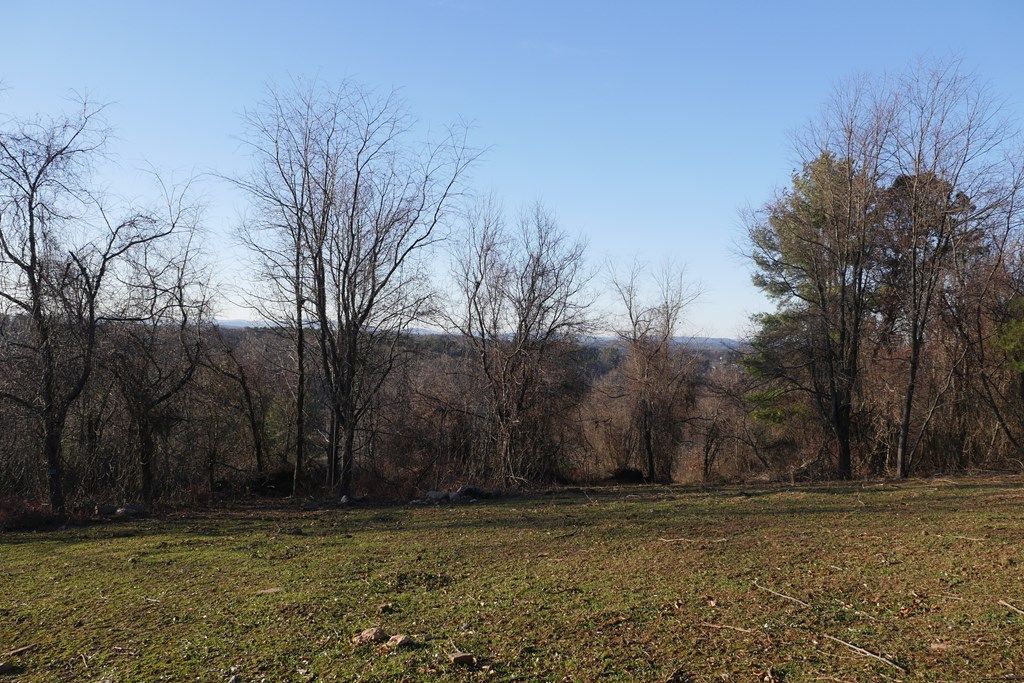 Photo of TBD Trapper Drive #1, Woodlawn, VA 24381 (MLS # 104236)