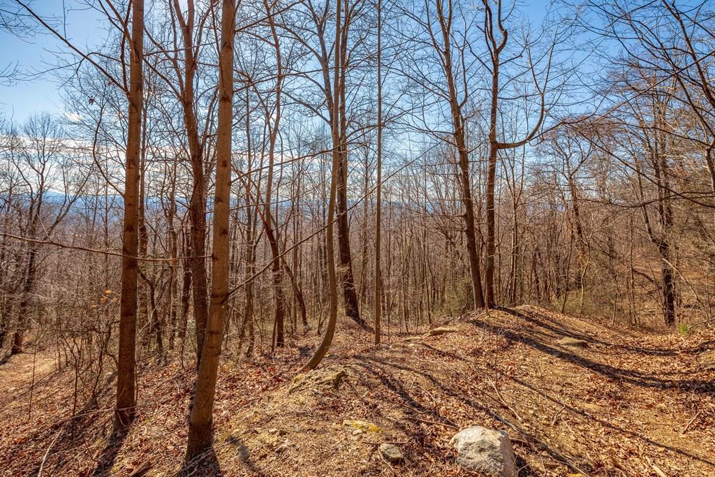 Photo of 112 Spring Pond Trl #112, Fancy Gap, VA 24328 (MLS # 111127)