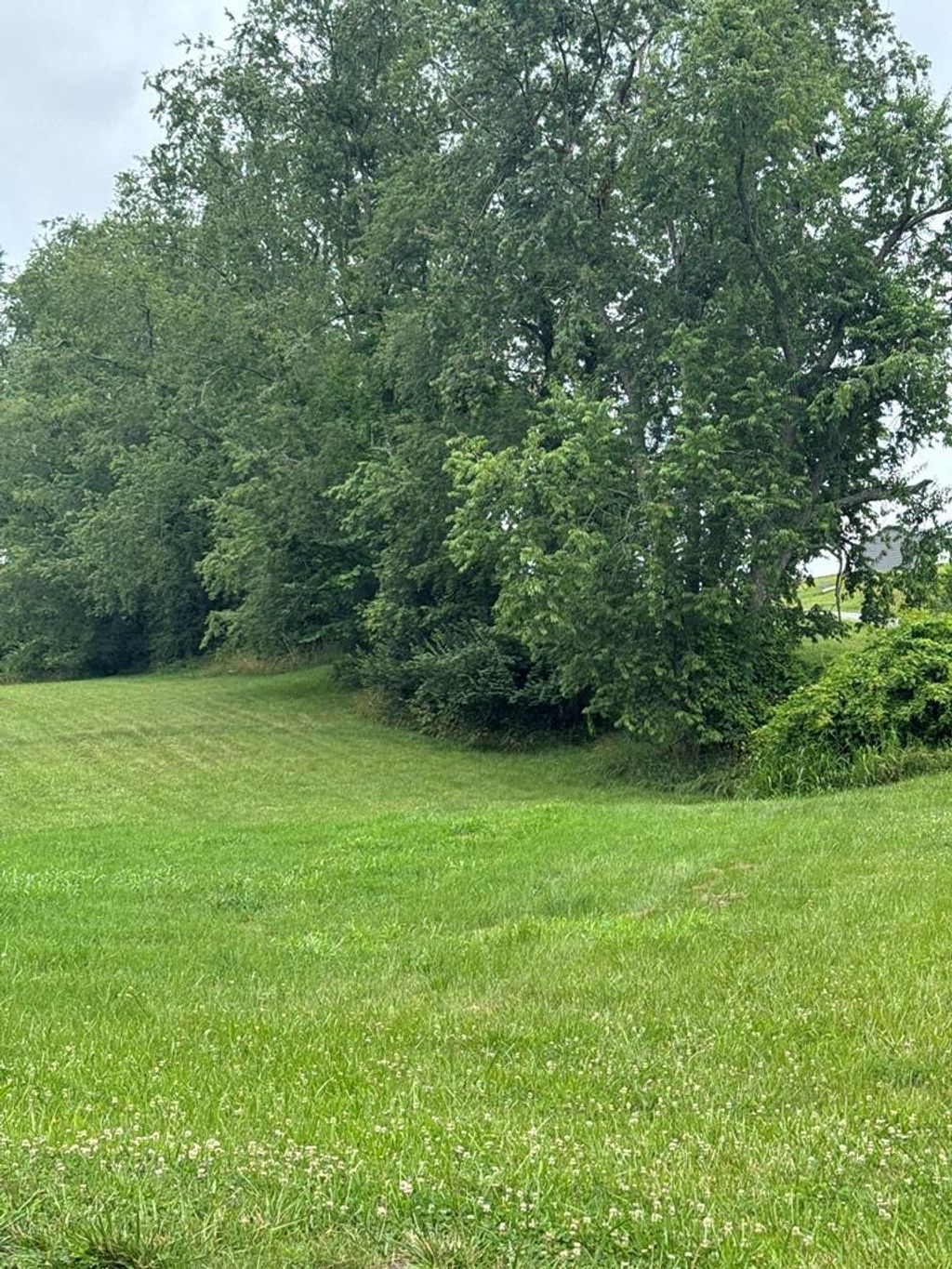 Photo of TBD Astor Rd #1, Abingdon, VA 24210 (MLS # 110681)