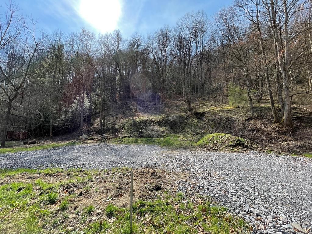 Photo of TBD Sawmill Hollow Rd #302, Dante, VA 24237 (MLS # 109178)
