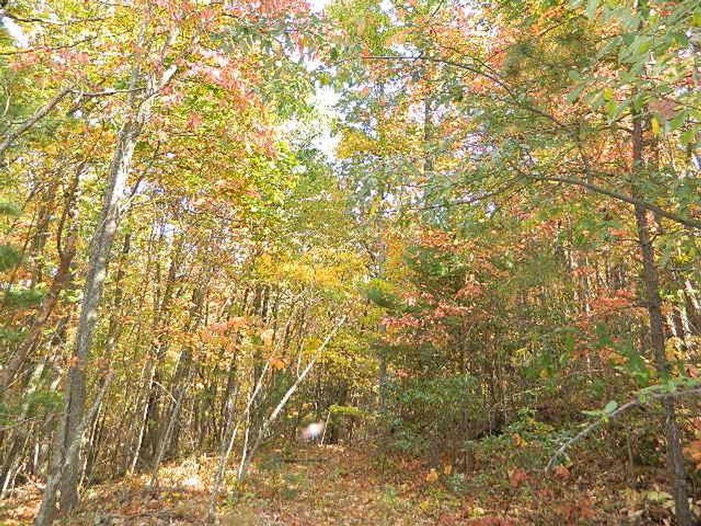 Photo of TBD Granite Lane #65, Chilhowie, VA 24319 (MLS # 103817)