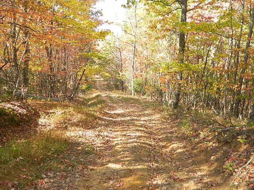 Photo of TBD Granite Lane #65, Chilhowie, VA 24319 (MLS # 103817)
