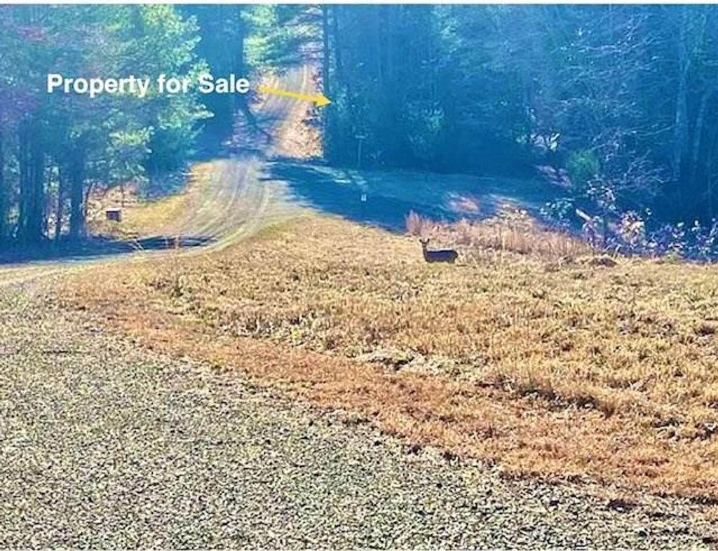 Photo of 5238 Graymont/Brookstone Lane #10, Woodlawn, VA 24381 (MLS # 100693)