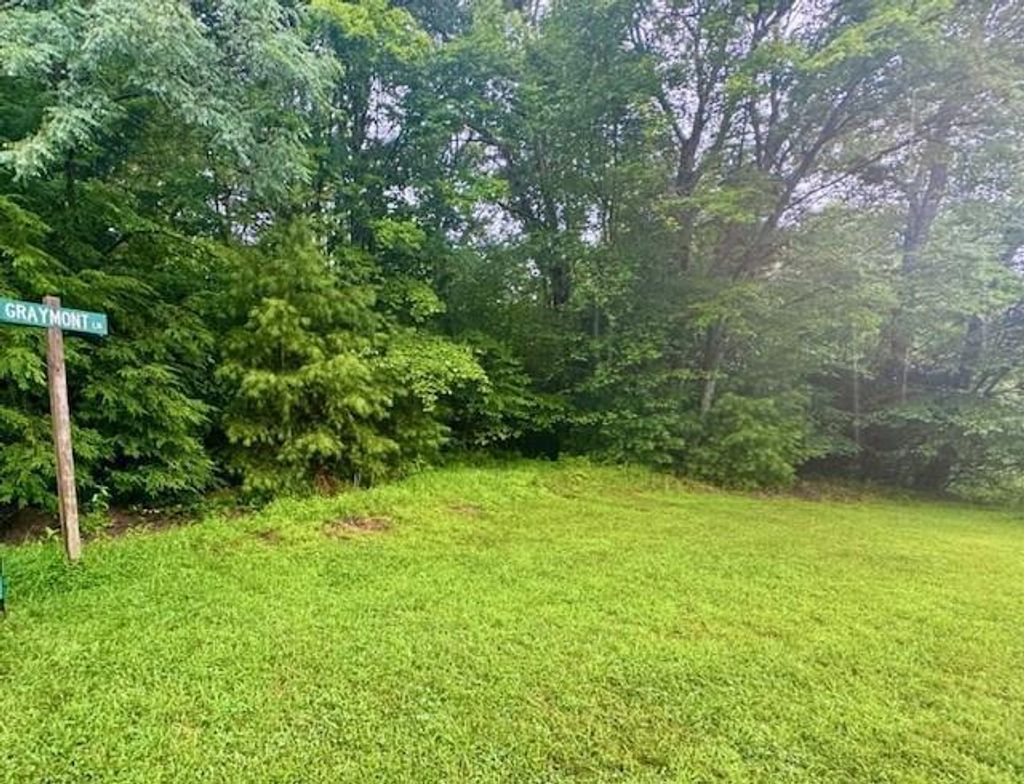 Photo of 5238 Graymont/Brookstone Lane #10, Woodlawn, VA 24381 (MLS # 100693)