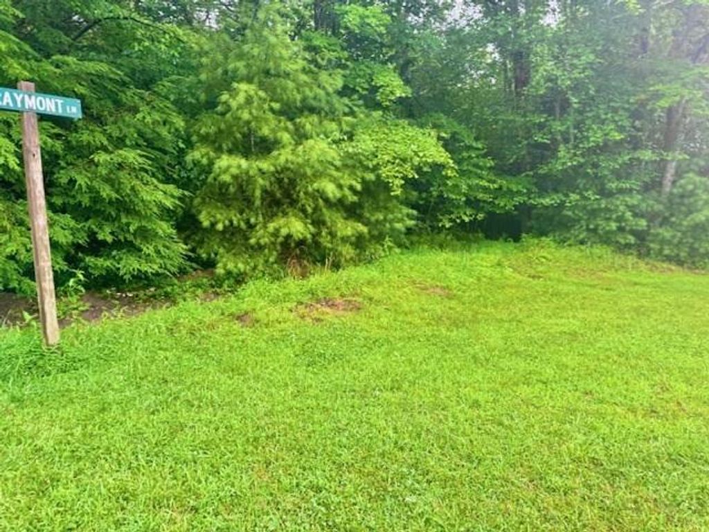 Photo of 5238 Graymont/Brookstone Lane #10, Woodlawn, VA 24381 (MLS # 100693)