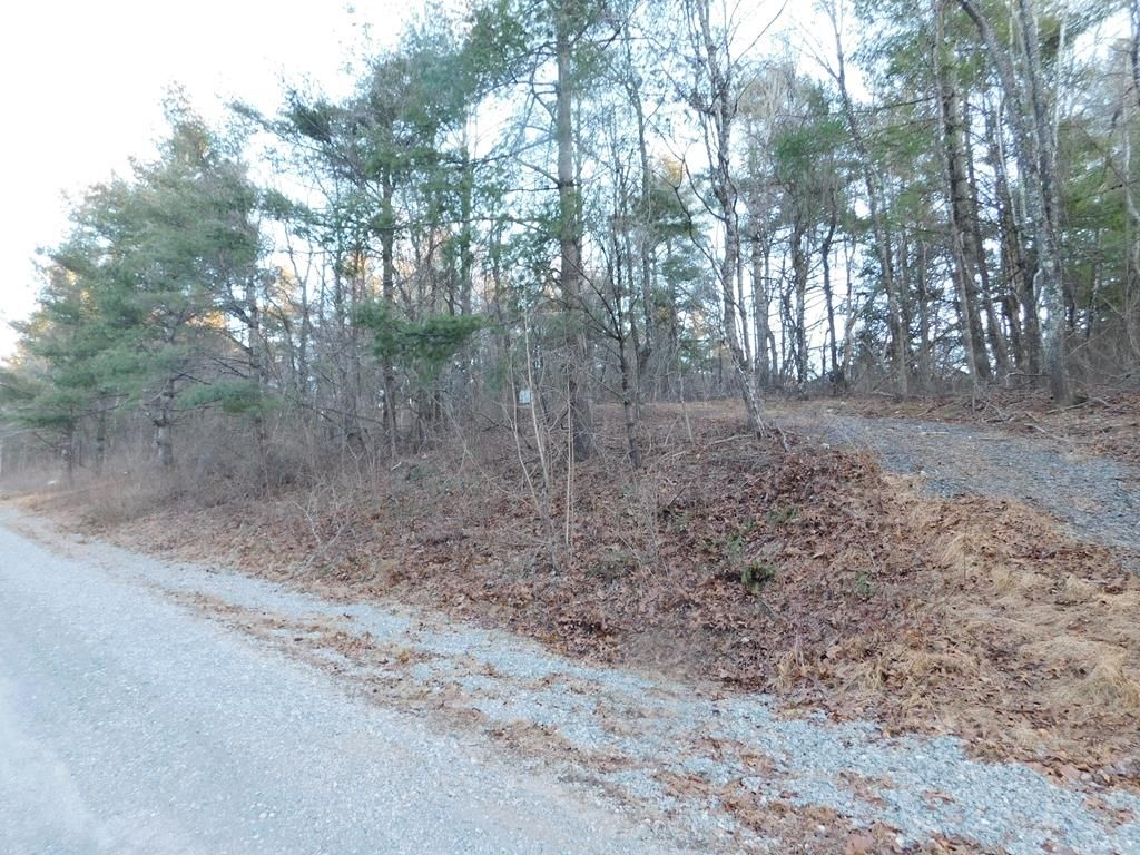 Photo of 32 Hickory Hollow Rd #32, Copper Hill, VA 24079 (MLS # 104713)