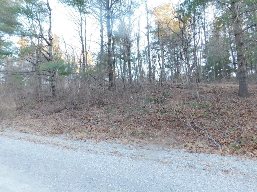 Photo of 32 Hickory Hollow Rd #32, Copper Hill, VA 24079 (MLS # 104713)