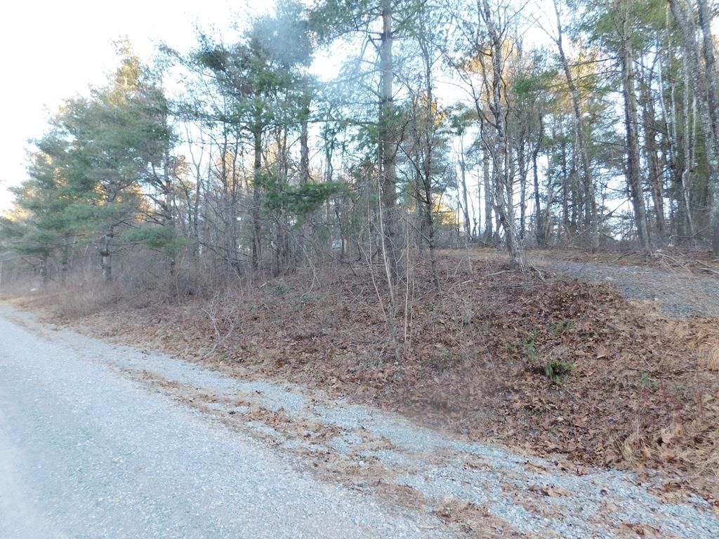 Photo of 32 Hickory Hollow Rd #32, Copper Hill, VA 24079 (MLS # 104713)