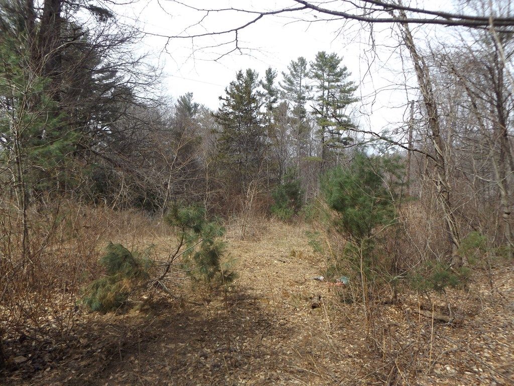 Photo of 619 Shady Ln #1, Laurel Fork, VA 24352 (MLS # 109293)