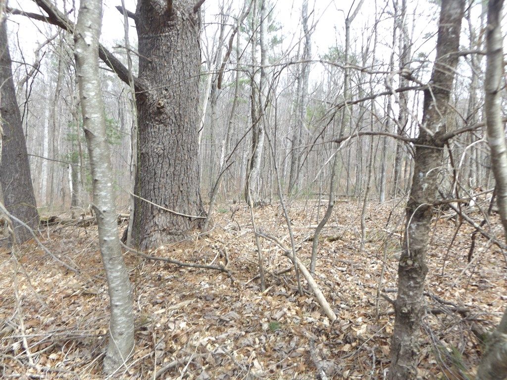 Photo of 619 Shady Ln #1, Laurel Fork, VA 24352 (MLS # 109293)