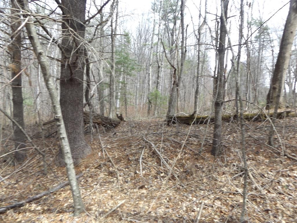 Photo of 619 Shady Ln #1, Laurel Fork, VA 24352 (MLS # 109293)