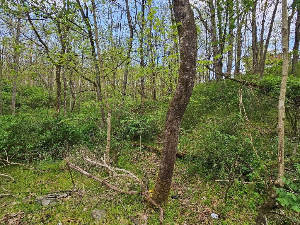 Photo of TBD Miller Ave #2-2A, Marion, VA 24354 (MLS # 109669)