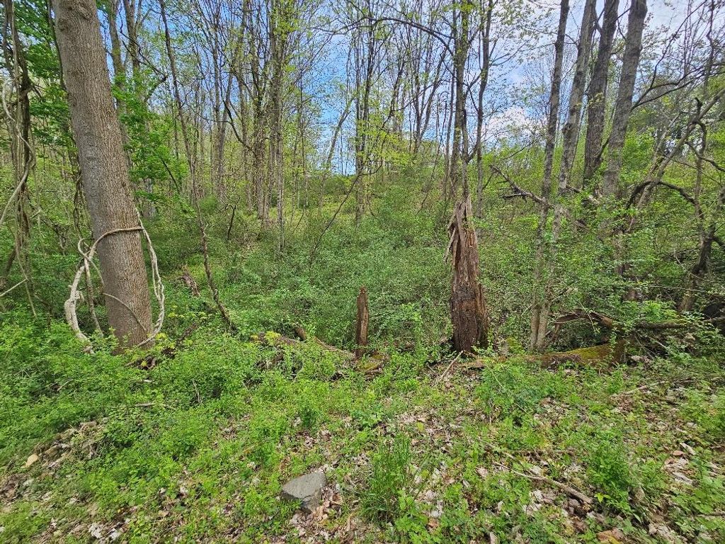 Photo of TBD Miller Ave #2-2A, Marion, VA 24354 (MLS # 109669)
