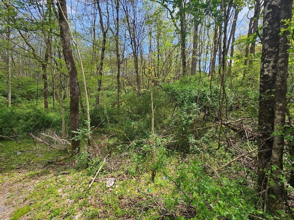 Photo of TBD Miller Ave #2-2A, Marion, VA 24354 (MLS # 109669)