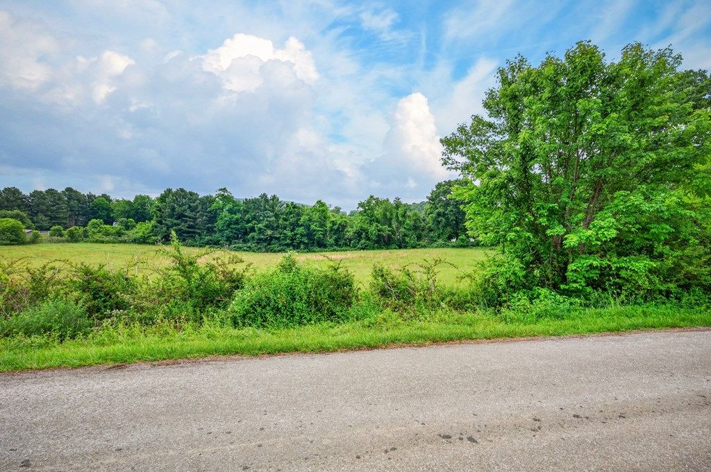 Photo of 127 Rakestown Road #127, Ivanhoe, VA 24350 (MLS # 110264)