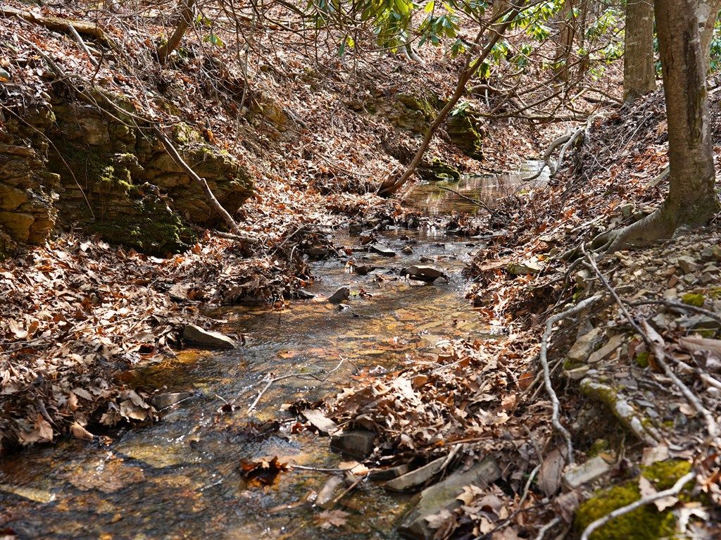 Photo of 6184 North Ridge Ln #n/a, Pulaski, VA 24301 (MLS # 109333)