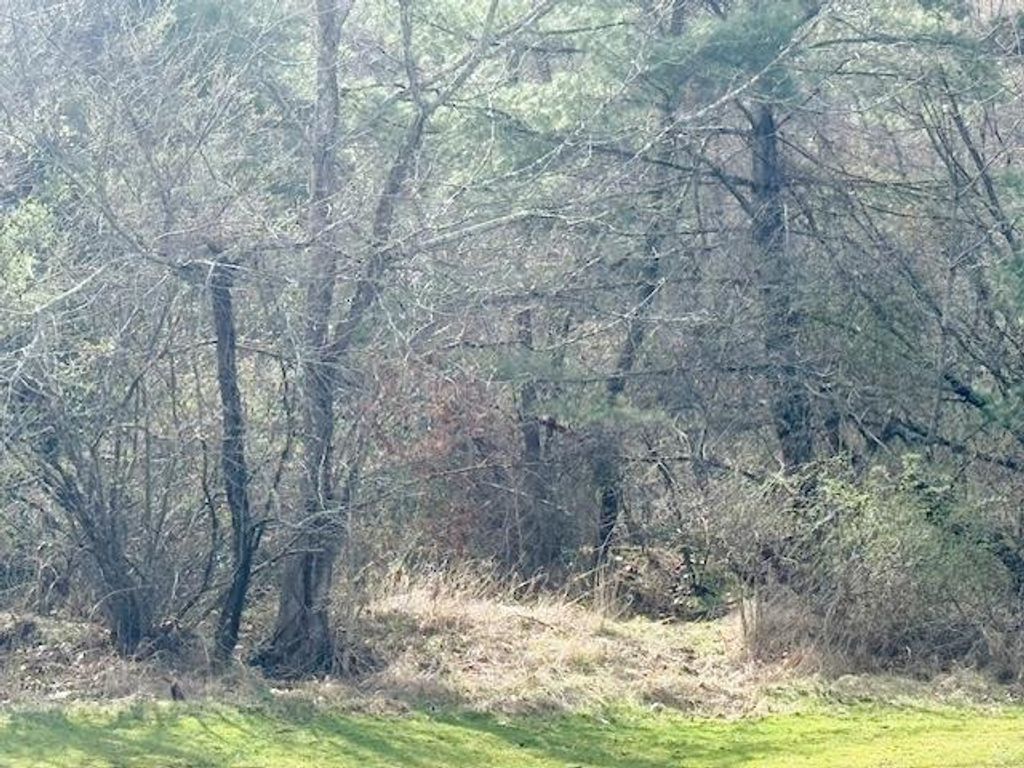 Photo of TBD Martin Rd #2, Max Meadows, VA 24360 (MLS # 109226)