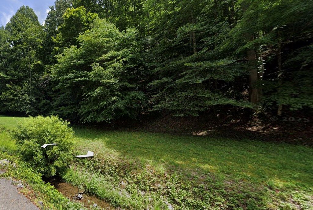 Photo of TBD Lick Log Road #10, Grundy, VA 24614 (MLS # 105766)