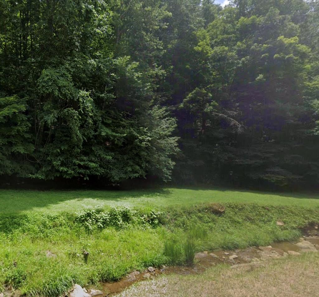 Photo of TBD Lick Log Road #10, Grundy, VA 24614 (MLS # 105766)