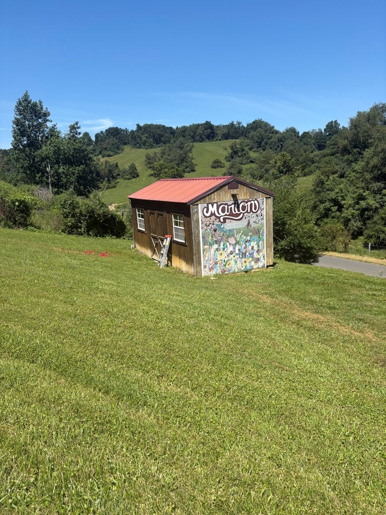 Photo of 1228 Spring Valley Road, Marion, VA 24354 (MLS # 111289)