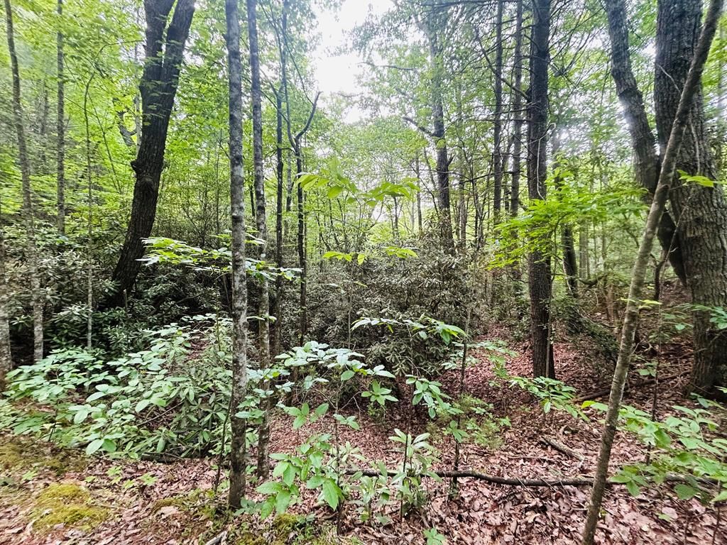 Photo of TBD Back Creek Ln #30, Claudville, VA 24076 (MLS # 100138)