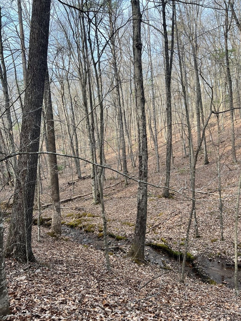 Photo of TBD Cove Lane #9, 10, 11, 12, Woodlawn, VA 24381 (MLS # 103710)