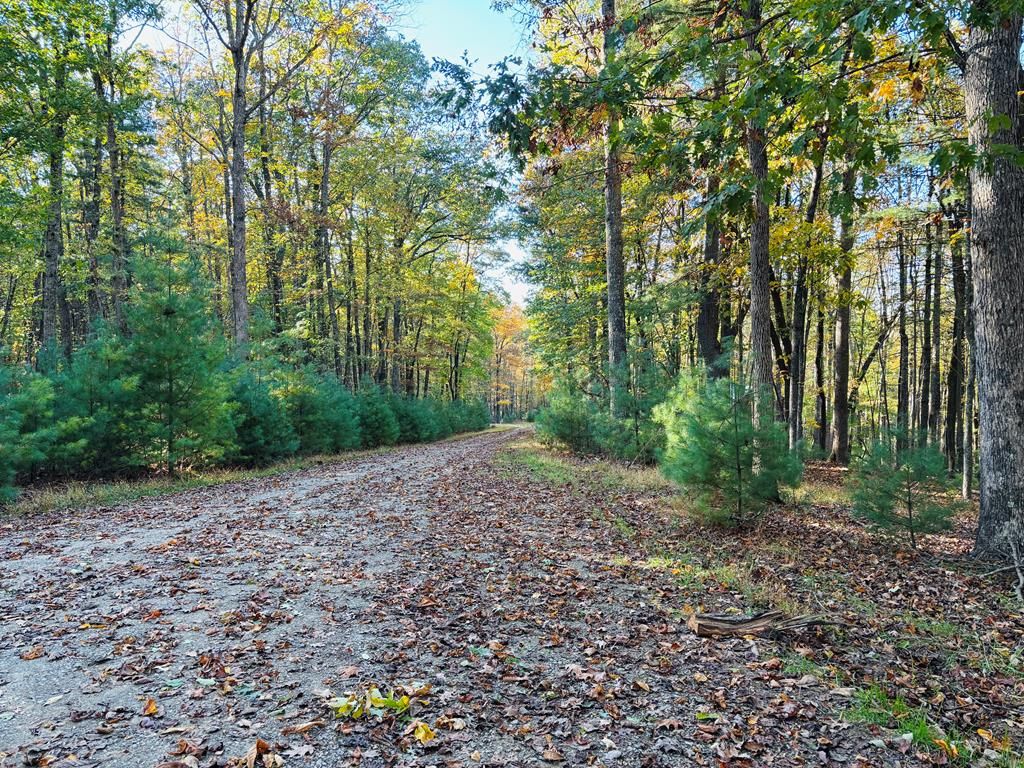 Photo of TBD Cove Lane #9, 10, 11, 12, Woodlawn, VA 24381 (MLS # 103710)