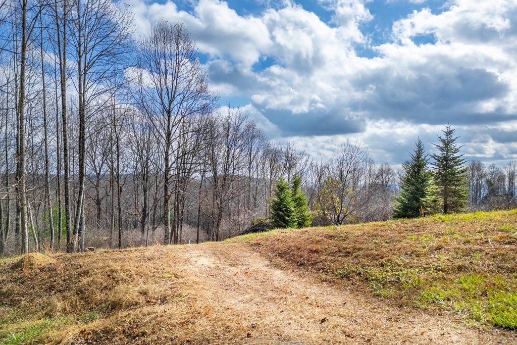 Photo of 38 Dogwood Ridge #2B, Fancy Gap, VA 24328 (MLS # 103961)