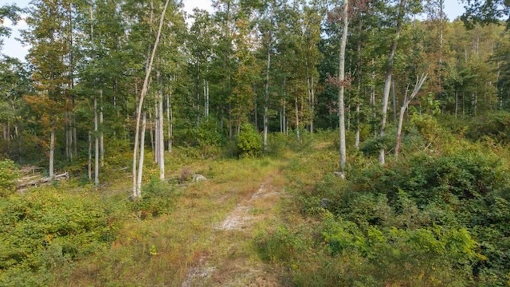 Photo of 3 Twin Falls Rd, Copper Hill, VA 24079 (MLS # 103494)