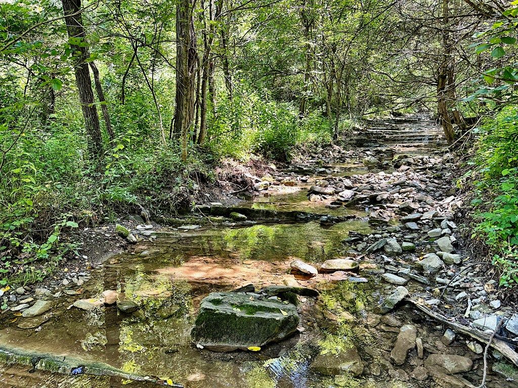 Photo of TBD Hogan Hollow Rd #85-91 and 91B, Troutville, VA 24145 (MLS # 103608)