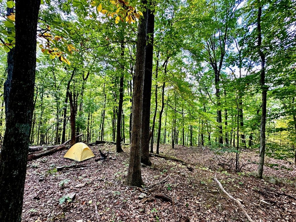 Photo of TBD Hogan Hollow Rd #85-91 and 91B, Troutville, VA 24145 (MLS # 103608)