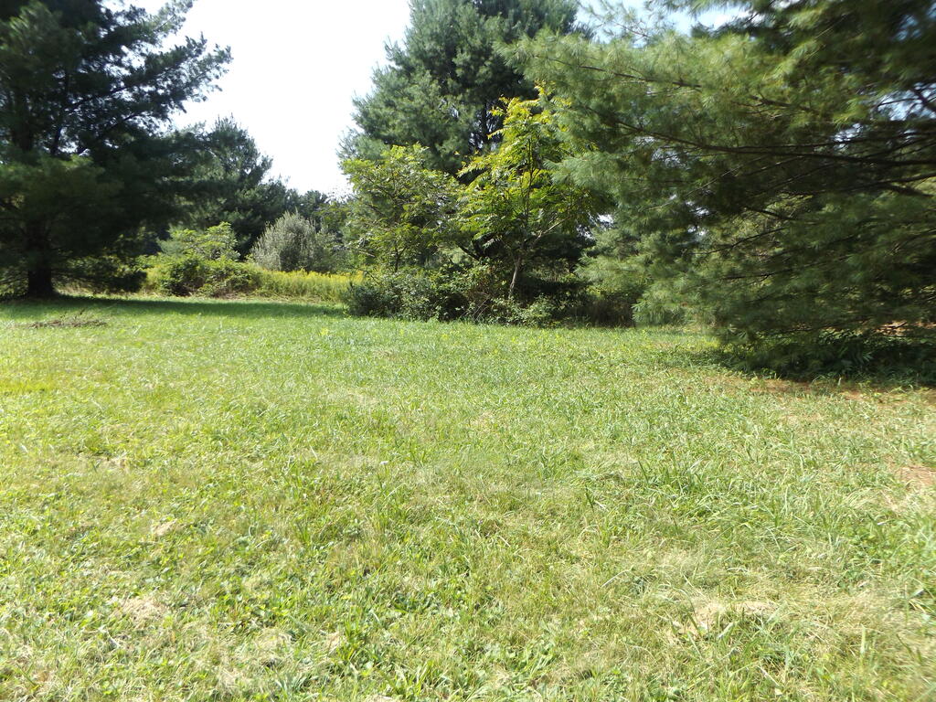 Photo of TBD Sylvatus Hwy #2, Hillsville, VA 24343 (MLS # 111879)
