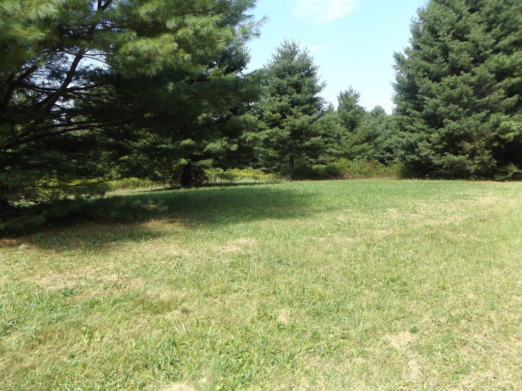 Photo of TBD Sylvatus Hwy #2, Hillsville, VA 24343 (MLS # 111879)