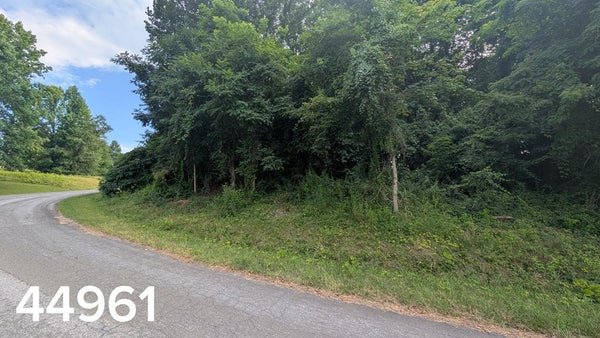 100 ABINGDON PL, ABINGDON, VA 24211 - Image 2b78cc8faf8adb9ca520cf965abd87f7/1494786174